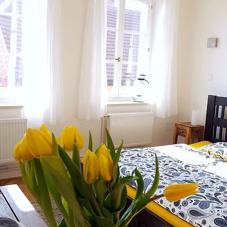 Apartmany U Namesti 布劳莫夫 外观 照片